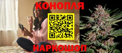 шишки Гагарин