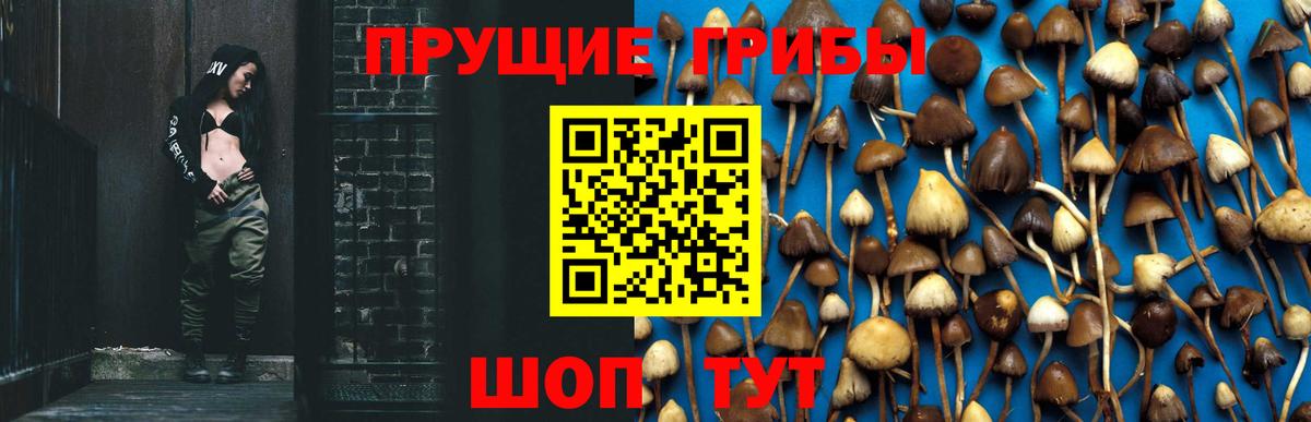 Галлюциногенные грибы MAGIC MUSHROOMS Назрань