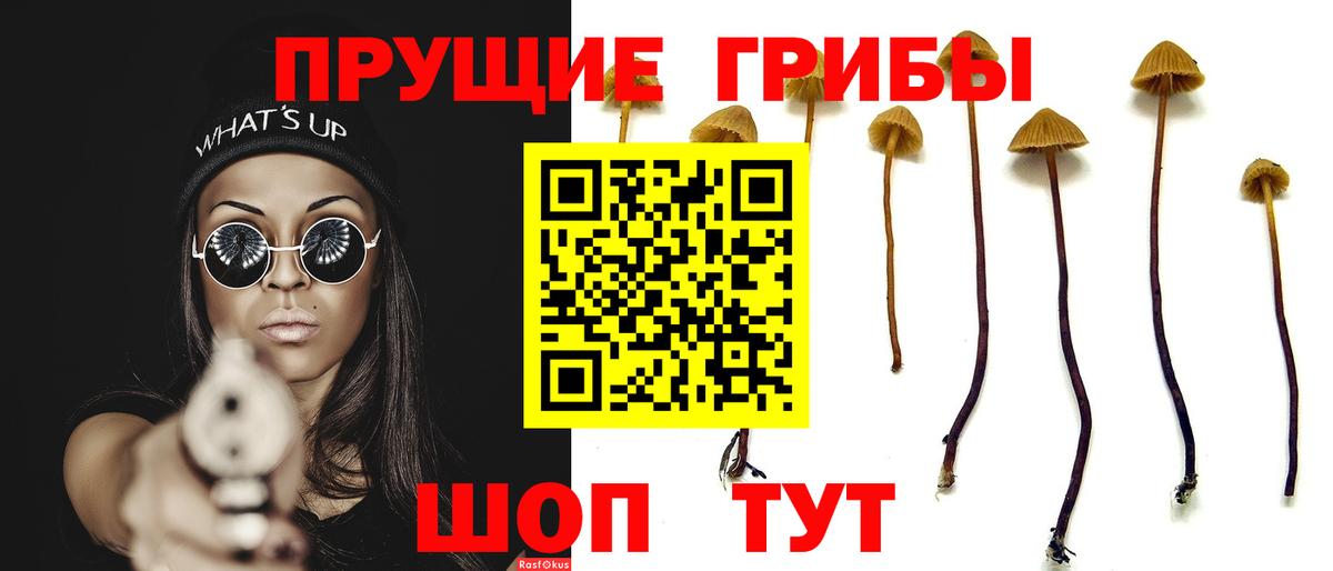 Назрань  Галлюциногенные грибы ЛСД  Вход с VPN 